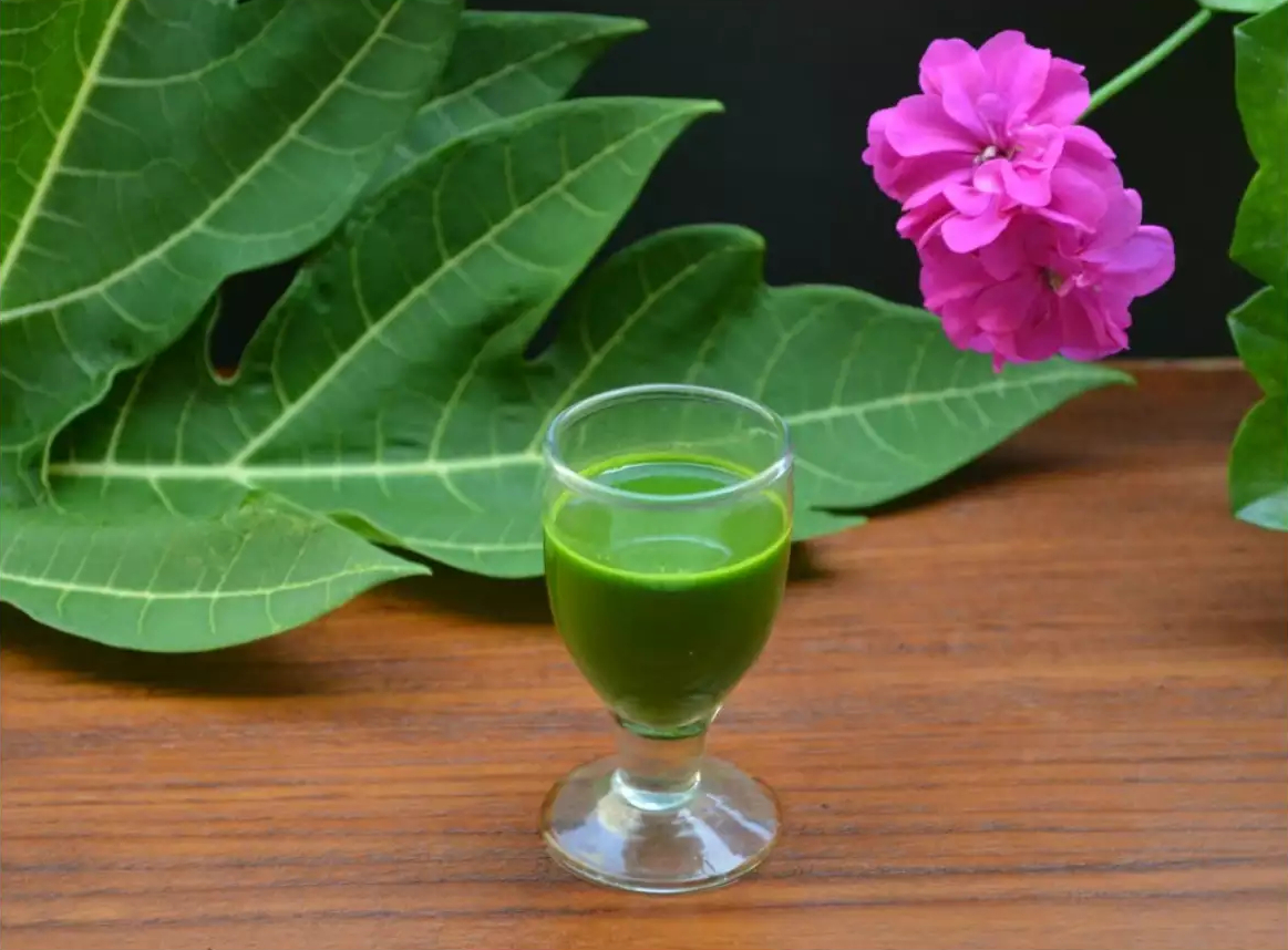 Papaya Leaf Extract